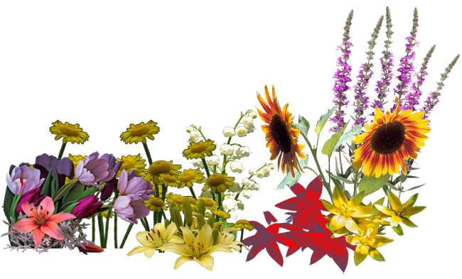Blumen