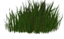 Gras
