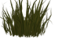 Gras