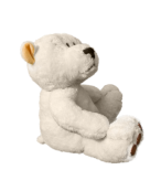 Teddy