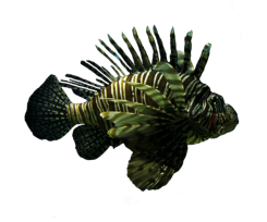 Fisch