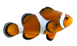 Fisch