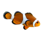 Fisch